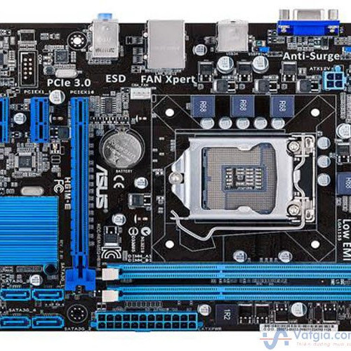 main asus h61
